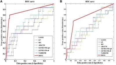 Accurate determination of causalities in gene regulatory networks by dissecting downstream target genes